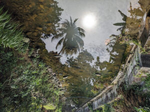 Not a polluted drain in Tobago, 2024
